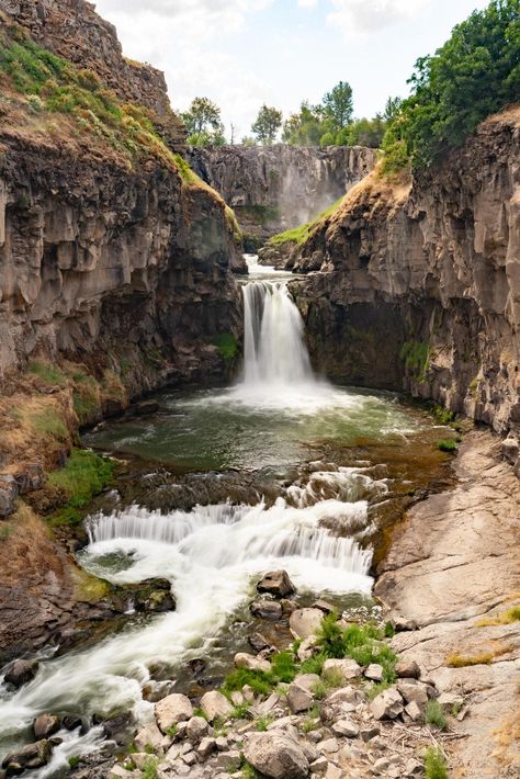 20 WILDLY Beautiful Oregon Waterfalls Worth the Hype (Guide) Oregon Waterfall Hikes, Hermiston Oregon, Waterfalls In Oregon, Ramona Falls, Tillamook Oregon, Oregon Hikes, Beautiful Oregon, Oregon Waterfalls, Fall Creek