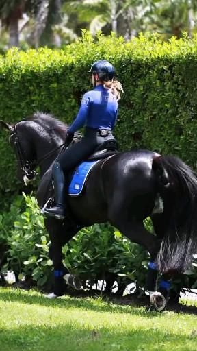 Cavalo [Video] in 2022 | Pretty horses, Horse videos, Dream horse barns Horse Spirit Animal, Dressage Videos, Horse Spirit, Horse Riding Aesthetic, Equestrian Dressage, Warmblood Horses, Show Jumping Horses, Dream Horse Barns, Beautiful Arabian Horses