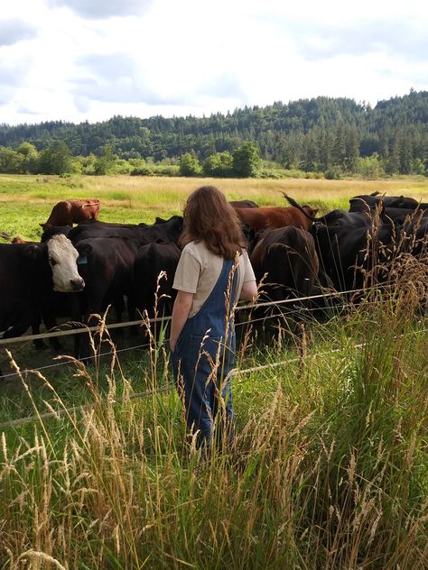 Field Of Cows, Cow In A Field, Cow In Meadow, Cows Laying In A Field, Daisy Field, Cows Grazing Fields, Girl Running, Pretty Images, Two Girls