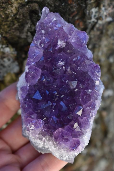 Amythest Aesthetic, Witch Purple, Crystal Meditation, Crystal Room, Violet Aesthetic, Crystal Purple, Crystal Display, Purple Gems, Crystal Therapy