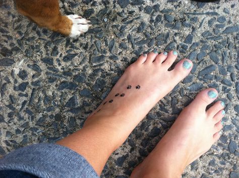 Thinking of doing this on my foot in white ink for every dog that I've loved and lost Paw Print Trail Tattoo, Paw Print Tattoos, Tattoos Dog, Friendship Tattoo, Dog Memorial Tattoos, Pawprint Tattoo, Dog Paw Tattoo, Mouse Tattoos, Ankle Tattoos