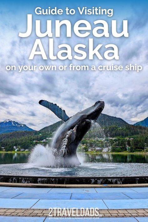 Things to Do in Juneau, Alaska: Sights and Fun with (or without) Kids - 2TravelDads Alaska Fishing, Port Area, Juneau Alaska, Kenai Fjords, City Museum, Capitol Building, Cultural Activities, Cruise Port, World View