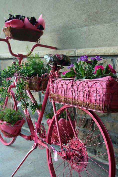 I love this! I want to make one for my sisters garden at her new house! but greens and blues... :) Bicycle Planter, Flower Carts, Bicycle With Flowers, Bike Planter, Spool Furniture, Pink Bicycle, Pink Bike, Old Bicycle, Planter Ideas