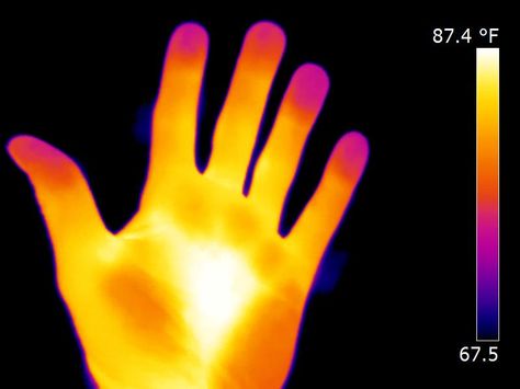 infrared hand - Google Search Night Spider, Thermal Hand, Thermal Vision, Infrared Light, Thermal Imaging, Bring The Heat, Lone Star, Warm Colors, Universe