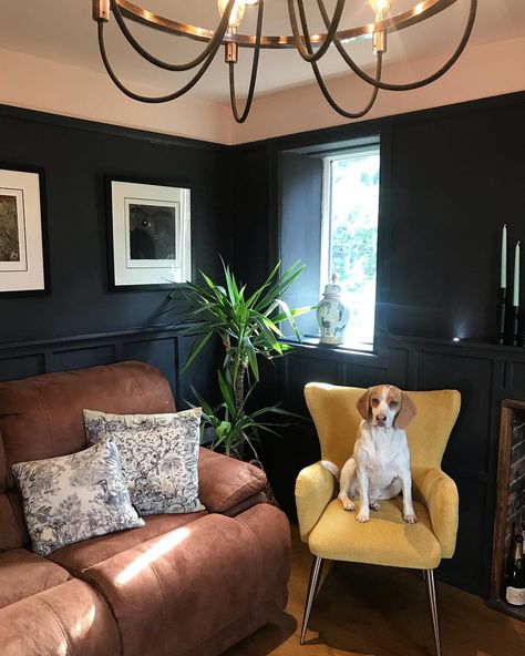 Kiren Owens on Instagram: “This wild beast of a hound changed my life. He is a typical beagle, for those of you who are familiar with the breed. He does exactly as he…” Farrow And Ball Railings Living Rooms, Living Room Farrow And Ball, Panelled Living Room, Farrow And Ball Railings, Farrow And Ball Living Room, Dnevna Soba, Victorian Living Room, Leather Sofa Living Room, Lounge Ideas