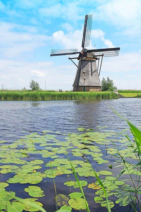 Kinderdijk Windmills, Tulips Holland, Windmills Photography, Windmill Landscaping, Holland Windmills, Old Windmills, Dutch Windmills, Wedding Humor, Screen Wallpaper