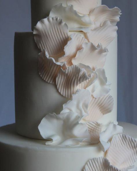 Delicate texture, chunky stripes, sharp clean edges. I was inspired by the work of ceramic artist @mari.anastasova, but then kind of ran with the textures and the delicate ruffles and created this. It makes me think of underwater coral gently wafting in the current. Also oyster mushrooms (although slightly less poetic!) Wedding cakes can be whatever you want them to be. As individual as you are. #weddingcakedecoration #bespokeweddingcake Poetic Wedding, Oyster Mushrooms, Wedding Cake Decorations, Ceramic Artists, California Wedding, Wedding Cakes, Ruffles, Stuffed Mushrooms, Coral