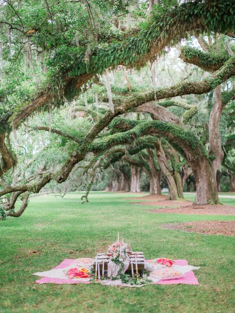 Girls' Picnic Bridal Shower Ideas Beach, Bridal Shower Picnic, Shower Outdoor, Summer Bridal Showers, Bridal Shower Inspiration, Pre Wedding Party, Bridal Shower Centerpieces, Unique Bridal Shower, Beach Side