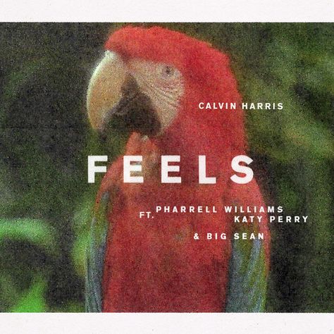 Feels Calvin Harris, Calvin Harris Album, Feeling Song, Calvin Harris, Big Sean, Mp3 Song Download, Sheet Music Notes, Pharrell Williams, Mp3 Song