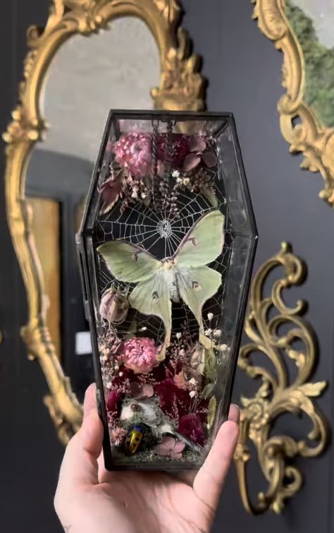 Diy Occult Decor, Diy Cabinet Of Curiosities, Gothic Craft Ideas, Coffin Terrarium Ideas, Goth Craft Ideas, Gothic Crafts Diy, Gothic Terrarium, Oddity Display, Shadowbox Ideas Diy