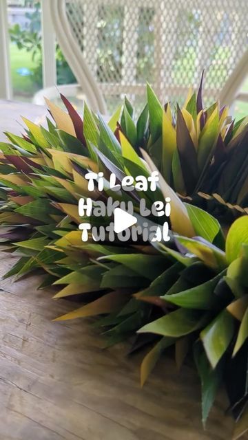 Ka Hale Hoaka on Instagram: "Repost • @hoolei_maui General rule of thumb.... You always need more ti leaf than you expect. Aaaaaand this lei may cause backaches and fingers cramps, but she’s worth it 😍😍😍

#hakulei #tileaflei #tileafhakulei #lei #tileaf #makelei #hoolei #givelei.#normalizelei #maui #aloha" Ti Leaf Lei How To Make, Ti Leaf Lei, Haku Lei, Ori Tahiti, Ti Leaf, Lei Making, Hawaiian Crafts, Hawaiian Leaf, Flower Lei