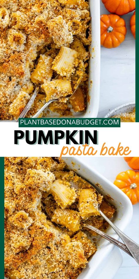 This Pumpkin Pasta Bake is a belly-filling dish made of tender pasta tossed into a pumpkin-infused herb sauce. It is topped with a vegan buttery crumb and baked to golden perfection. This lightened-up vegan pasta recipe is great to enjoy all year round but is especially good during the fall season. | Plant-based on a Budget | #plantbasedonabudget #pastabake #fallrecipe #pumpkinpasta Vegan Pumpkin Pasta Recipes, Baked Pumpkin Pasta, Vegan Dump And Bake, Thanksgiving Pasta, Vegan Pumpkin Pasta, Pumpkin Pasta Bake, Vegan Pasta Recipe, Pumpkin Pasta Recipe, Vegan Pasta Bake