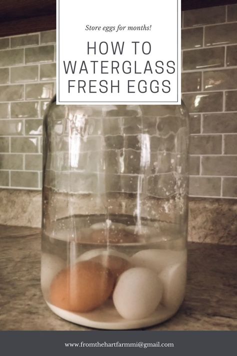 How To Keep Eggs Fresh Longer, Waterglassing Chicken Eggs, Waterglassing Eggs, Unwashed Eggs, Homemade Fly Traps, Preserving Eggs, Survival Food Storage, Raising Quail, Canning Supplies