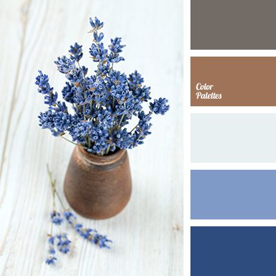 brown, brown and dark blue, color of clay, gray, gray-brown, lavender, light blue, mouse gray, shades of dark blue. In Color Balance, Brown And Blue Living Room, Brown Living Room Decor, Blue Mouse, Gray Shades, Color Palette Ideas, Office Color, Palette Design, Palette Ideas