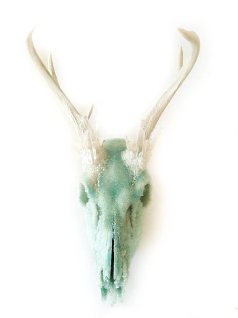 Borax Crystal Deer Skull, Mini Ecosystem, Deer Skull Decor, Painted Deer Skulls, Wicca Crystals, Deer Skull Art, Aqua Aura Crystal, Borax Crystals, Painted Antlers