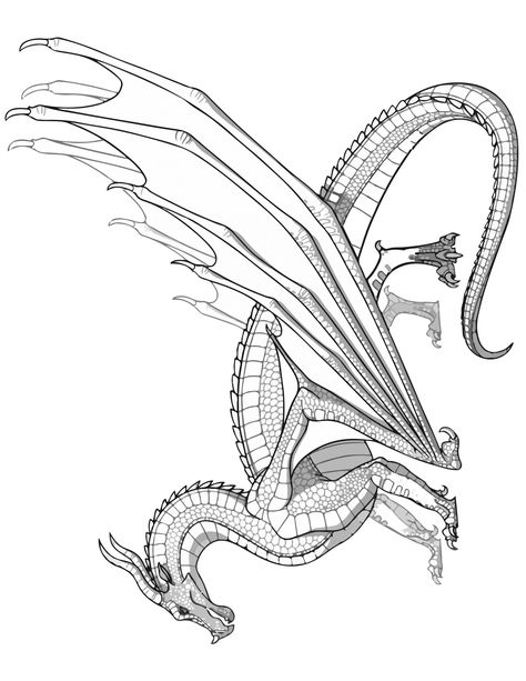 SKYWING Dragon Coloring Page Transparent Wings of Fire Coloring SHEET Pyrrhian Dragon Tribe Wings Of Fire Coloring Pages, Dragon Pictures To Color, Fire Coloring Pages, Transparent Wings, Dragon Coloring Pages, Realistic Dragon, Dragon Stuff, Dragon Coloring, Free Printable Coloring Sheets