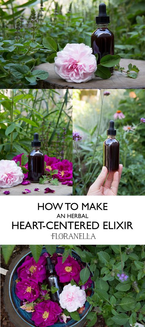 Heart-Centered Elixir Recipe — Floranella Hibiscus Recipe, Herbal Salve Recipes, Elixir Recipe, Herbal Education, Herbal Remedies Recipes, Salve Recipes, Witch Herbs, Herbal Elixir, Grow Taller