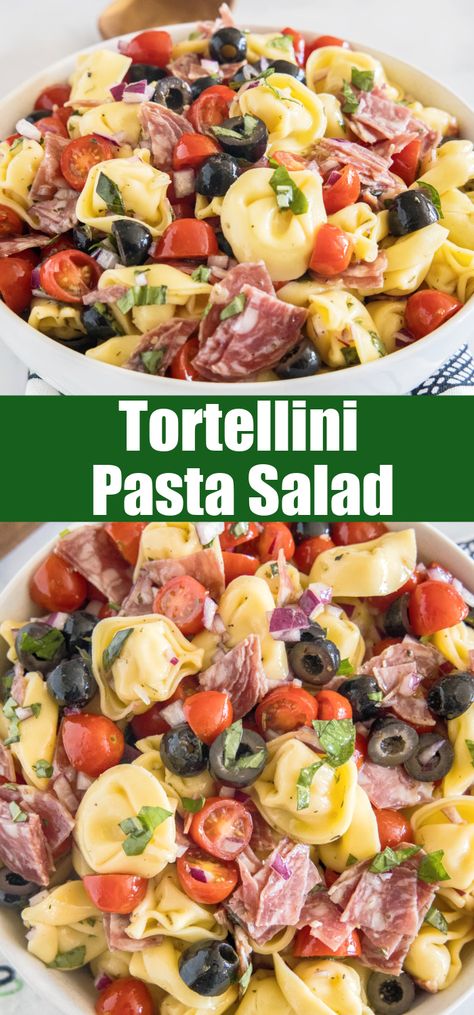 This tortellini pasta salad is an easy summer side or light meal packed full of Italian-inspired flavors, tossed in a zesty homemade dressing! #tortellini #pastasalad #sidedish Easy Tortellini Pasta Salad, Tortellini Pasta Salad Recipes, Easy Tortellini, Tortellini Pasta Salad, Vegetables Pasta, Pesto Tortellini, Pasta Salad With Tortellini, Tortellini Recipes, Tortellini Pasta