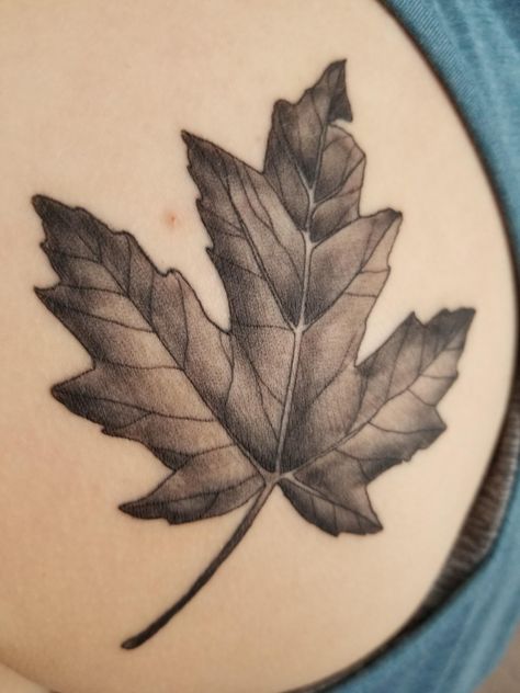 Got this maple leaf Thursday at Golden Wave Tattoo in Ottawa Canada. It's my first tattoo! Canadian Flag Tattoo, Villains Tattoo, Outdoor Tattoo, Leaf Tattoo, Custom Tattoos, Prison Tattoos, Wave Tattoo, Flag Tattoo, Ottawa Canada