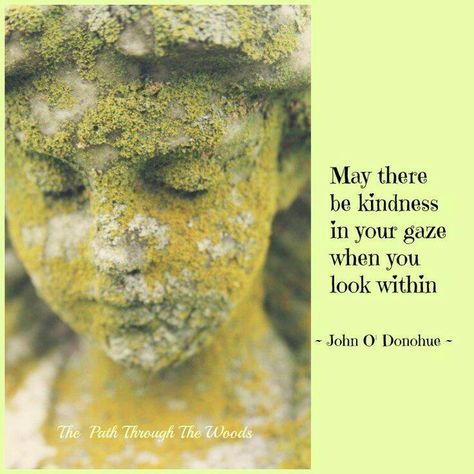 Quote by John O'Donohue Image from The Path Through the Woods Surrender Quotes, Path Through The Woods, Ayurvedic Healing, Rumi Quotes, Writing Poetry, Favorite Words, Beauty Quotes, Spiritual Inspiration, Wise Quotes