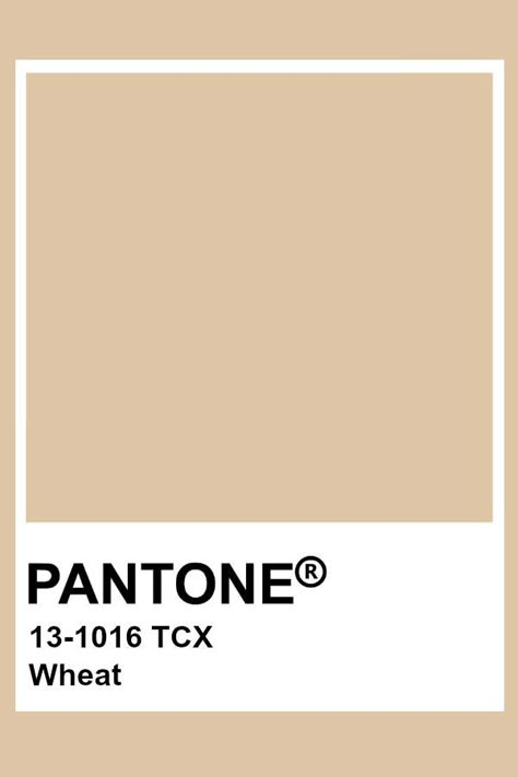 Shades Of Brown Pantone, Brown Pantone Shades, Light Brown Colour Palette, Pantone Brown Shades, Light Brown Pantone, Wheat Color Palette, Brown Pantone Color, Tan Pantone, Light Brown Color Palette