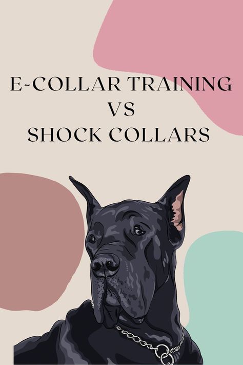 Puppy Training With Shock Collar, Shock Collar Training, Shock Collars For Dogs, E Collar Training, Leash Training Puppy, Dog Clicker Training, Puppy Obedience Training, Different Tools, Dog Commands