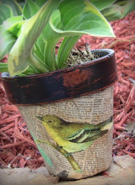 Terra Cotta Pot Crafts, Painted Terra Cotta Pots, Decoupage Diy, Flower Pot Crafts, Decorated Flower Pots, Painted Flower Pots, Decoration Plante, Clay Pot Crafts, Clay Pot