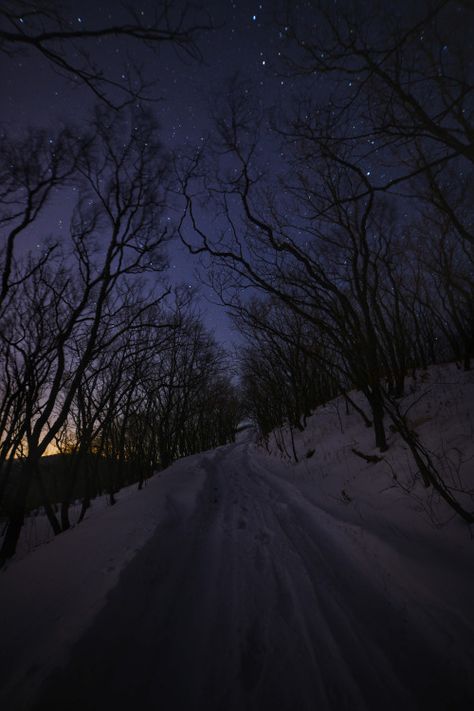 Sky Iphone, Dark Naturalism, Dark Forest Aesthetic, Snow Night, Snow Forest, Night Forest, Forest Wallpaper, Winter Wallpaper, Winter Scenery