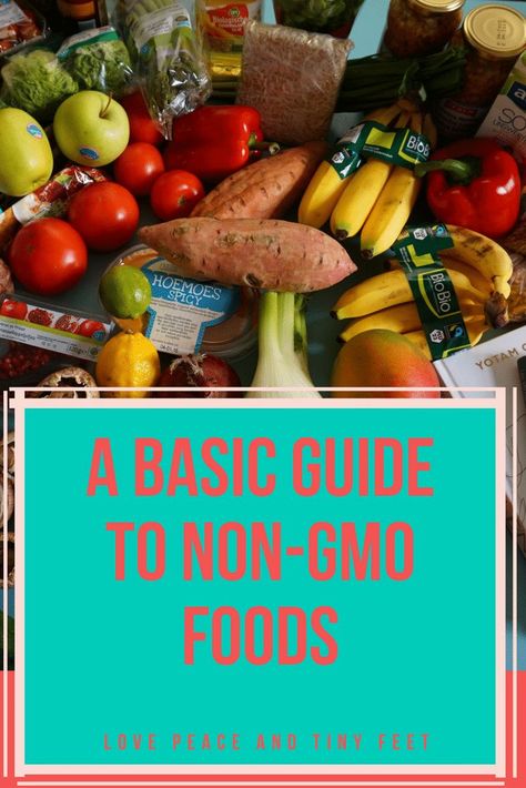 One of the biggest buzzwords to get the organic food industry in a stir is GMO.  GMO stands for Genetically Modified Organism. These are foods that are created in ways that do not occur naturally. Non-GMO meaning just the opposite of that. Here are some tips to include more non-gmo foods into your lifestyle. Gmo Free Food, Cooking Substitutions, Food Education, Gmo Foods, Food L, Healthy Mom, Healthy Lifestyle Tips, Food Safety, Food Industry