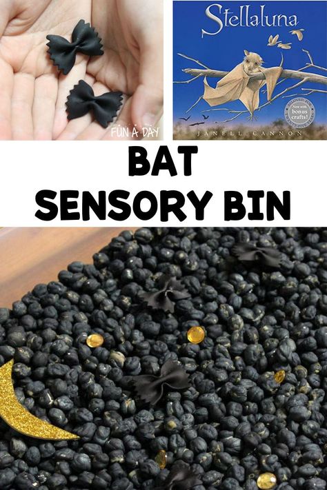 This bat and night sky sensory bin was super easy to set up. It's perfect to accompany a reading of Stellaluna! It could also be used when learning about bats, nocturnal animals, or even when setting up some non-scary Halloween activities. Your toddlers and preschoolers will love it! Bats Sensory Bin, Black Bat Sensory Bin, Nocturnal Animals Eyfs Activities, Nocturnal Animals Kindergarten Activities, Nocturnal Animals Science Activities, Spider And Bat Crafts Preschool, Nocturnal Animals Preschool Lesson Plans, Stellaluna Activities Preschool, Bat Sensory Activities