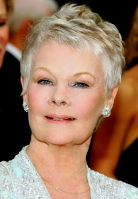 Judy Dench Hair, Judy Dench, Cool Haircuts For Women, Razored Haircuts, Messy Bob Hairstyles, Edgy Haircuts, Judi Dench, Bob Haircut For Fine Hair, Short Grey Hair