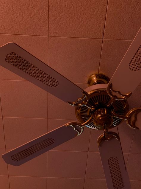 #aesthetic #fan #red Asthetic Ceiling Fans, Ceiling Fan Aesthetic, Aesthetic Fan, Ceiling Fan Decorations Aesthetic, Fan Aesthetic, Lana Fan Aesthetic, Aesthetic Ceiling Fan, Painted Ceiling Fan Blades Aesthetic, Electric Fan Aesthetic