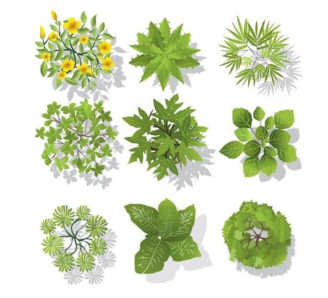 Green Flowers Collection | Free Vector Solidarity Illustration, Tree Plan Photoshop, Tree Plan Png, Landscape Vector Illustration, Trees Top View, Tree Photoshop, Landscape Vector, Tree Plan, Urban Landscape Design