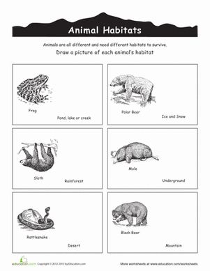 Kindergarten Plants, Animals & the Earth Worksheets: Animal Habitats Coloring Preschool Habitats, Animal Habitats Kindergarten, Habitats Preschool, Animal Habitats Preschool, Where Animals Live, Kindergarten Science Lessons, Color Worksheets For Preschool, Ocean Theme Preschool, Animal Habitat