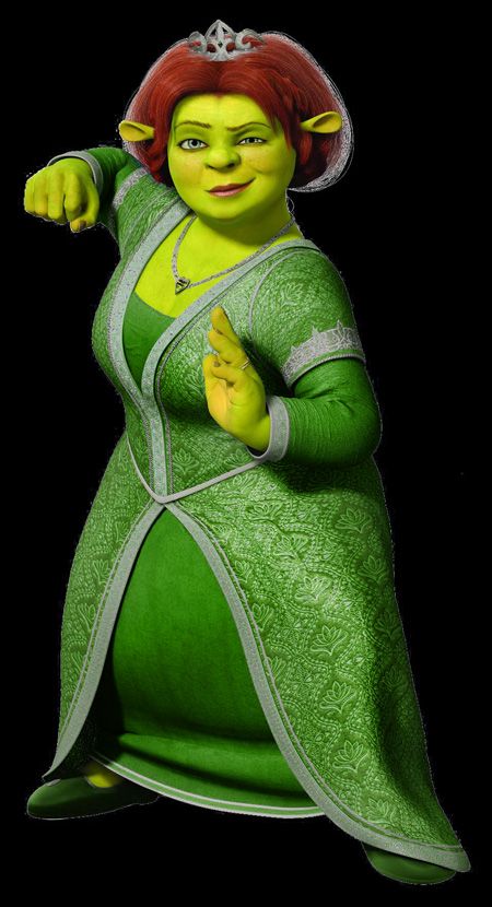 Princess Fiona | Savage Beauty Blog Shrek Fiona, Fiona Shrek, Happy Birthday Steve, Black Belt Karate, Lilly Pulitzer Outfits, Princess Fiona, Savage Beauty, Comedy Film, Halloween 2018