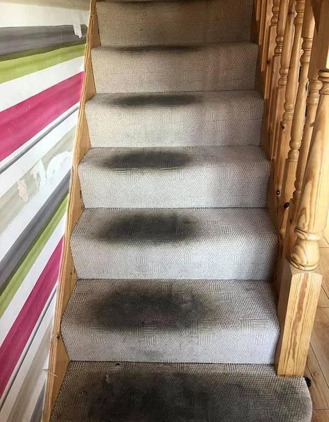 Mum reveals how she transformed her filthy staircase with a £4 four-step cleaning method using Elbow Grease spray Diy Carpet Cleaning Solution, Muddy Shoes, Home Decor Ideas Bedroom, Deep Carpet Cleaning, Cleaning Paste, Decor Ideas Bedroom, Carpet Cleaning Solution, Carpet Cleaning Hacks, Home Decor Idea