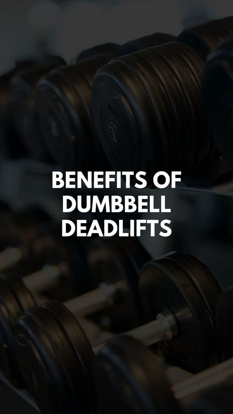 Barbell Lifts, Full Body Training, Muscles In Your Body, Body Training, Body Awareness, Circuit Training, Training Day, Dumbbell Workout, Core Muscles