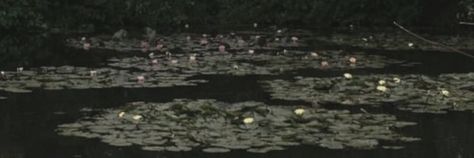 art lilypads water pond dark grunge fairycore aesthetic twitter header Dark Fairycore Widgets, Grunge Fairycore Widgets, Dark Green Aesthetic Long Widget, Dark Fairy Core Header, Dark Green Widgets Long, Green Long Widget Aesthetic, Dark Fairycore Header, Fairy Grunge Twitter Header, Grunge Long Widget