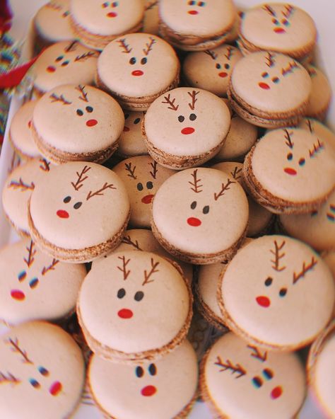 Christmas Macarons Decoration, Reindeer Macarons, Groot Cookies, Decorating Macarons, Macaron Decoration, Cute Macarons, Cute Christmas Desserts, Candy Cane Dessert, French Macaroon Recipes