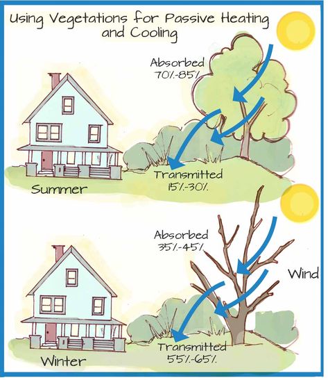 Passive Heating And Cooling Home, Passive Cooling Techniques, Sustainable Education, Passive Heating, Self Sustaining Home, Earth Ships, Green Energy Drink, Diy Renewable Energy, Site Plan Design