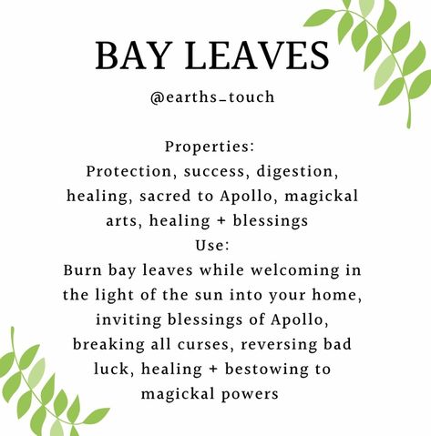 Bay Leaf Witchcraft Uses, Bay Leaves Uses Witchcraft, Magical Properties Of Bay Leaves, Herbs Properties Witchcraft, Basil Leaves Witchcraft, Grow Bay Leaves, How To Use Bay Leaves In Spells, Bay Leaf Magical Properties, Angelica Leaves Witchcraft