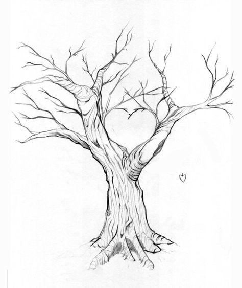 Pencil Art Projects, How To Draw A Tree, Drawing Pencil Art, Tree Drawings, Tree Drawings Pencil, Tree Sketches, Art Tree, Love Tree, Drawing Pencil