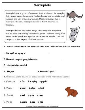 Animal Projects, Australian Animals, English Language Arts, Second Grade, Summer Camp, English Language, First Grade, Mammals, A Group