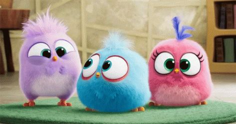 Excited Gif, Excited Girl, Best Gif, Angry Birds Movie, Happy Gif, Cute Bunny Cartoon, Bird Gif, Funny Caricatures, Angry Bird