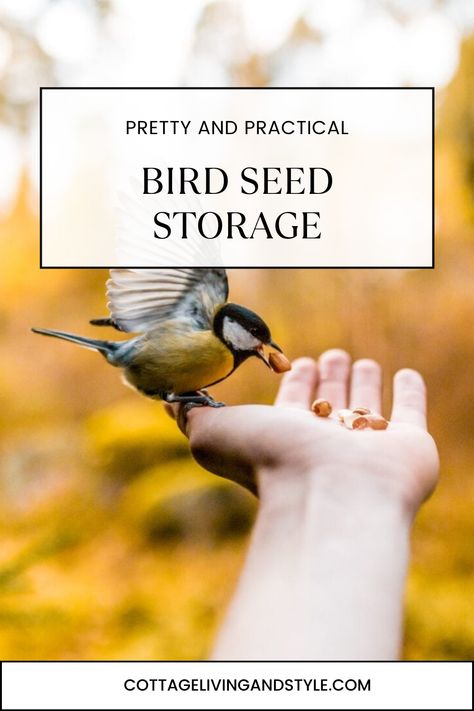 This blog has some great suggestions on how to store bird seed this fall and winter! Bird Seed Storage Ideas, Seed Storage Ideas, Bird Seed Storage, Seed Storage, Cabin Aesthetic, Diy Birds, Toddler Rooms, Cottage Interiors, How To Store