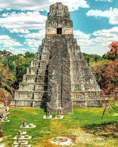 Tikal Guatemala, Mayan History, Aztec Ruins, Maya Civilization, Maya Art, Hiding In Plain Sight, Mayan Cities, Dense Forest, Guatemala Travel