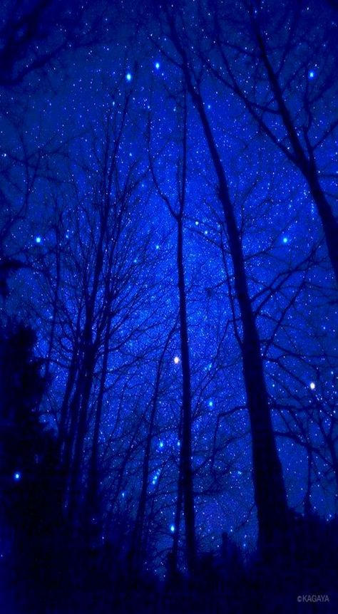 glow neon blue FlawlessluV The Night Sky, Night Sky, A Heart, Trees, Stars, Blue