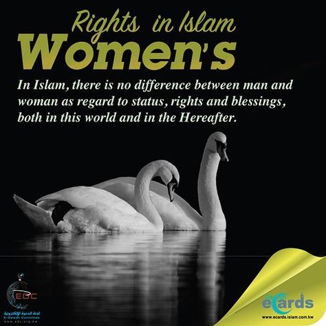 quotes about rights of women (1) Quotes On Women, Feminism Quotes, Women Rights, Islamic Sayings, Women Marriage, Educate Yourself, Islamic Knowledge, E Cards, Best Islamic Quotes