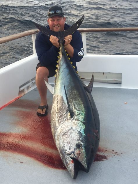 Davey with 232 Pound Bluefin Tuna  All I can say is wow!  This fish took me three full laps around the Excel.  That's a 124' x 30' wide boat.  I definitely put my steps in for the day!  For the full report from the Excel trip, please check out daveysworld.com. Bluefin Tuna, Tuna Fishing, Big Fish, Fishing, Fish, Blue