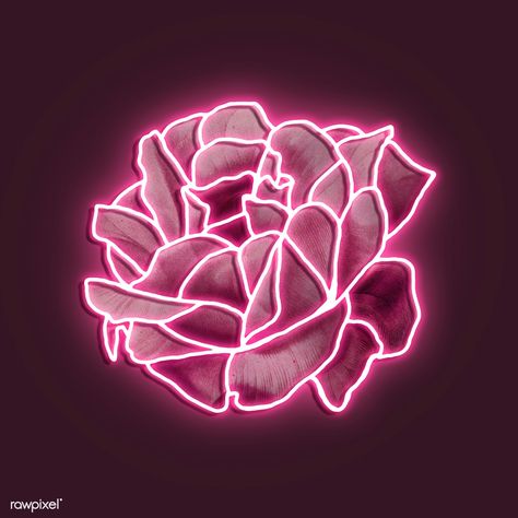 Neon pink rose mockup | premium image by rawpixel.com / Awirwreckkwrar Neon Asthetics, Widgets Pink, Pink Neon Wallpaper, Neon Icons, Aesthetic Neon, Pink Artwork, Pink Neon Sign, Neon Rose, Zero Wallpaper